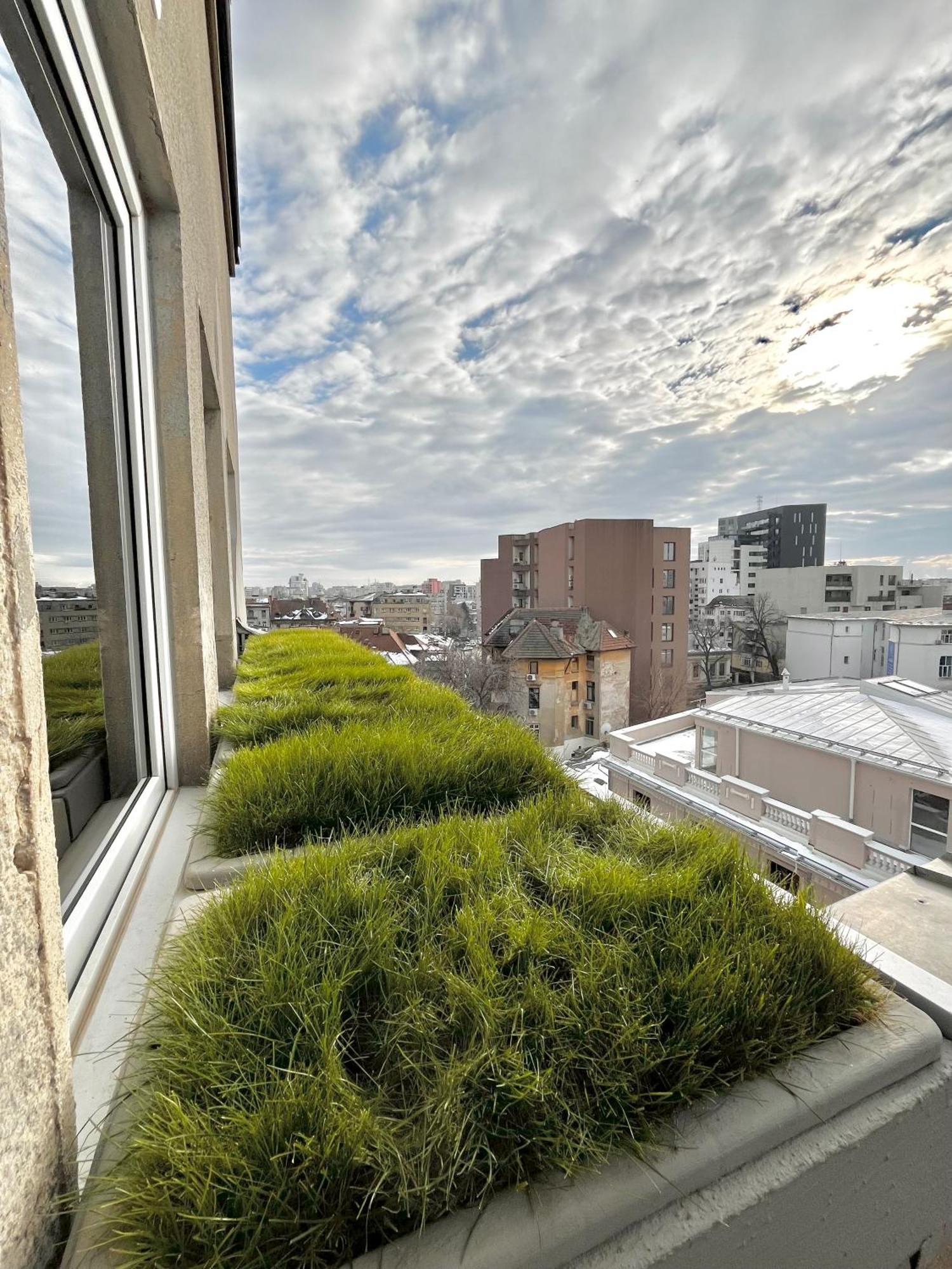 בוקרשט Terrace View Downtown Studio מראה חיצוני תמונה